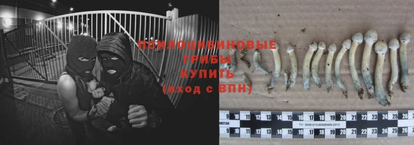 скорость Абаза