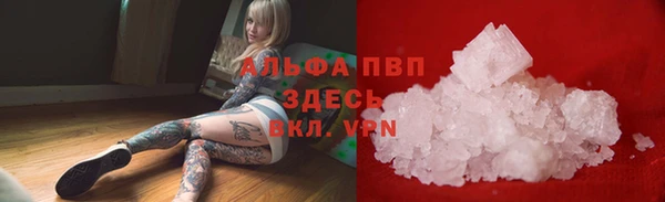 сатива Алексеевка