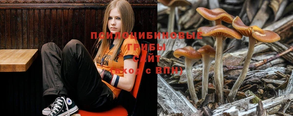 ешки Алзамай