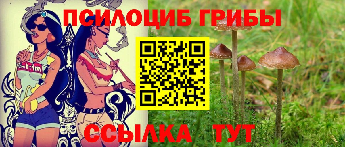 Россошь  МАРИХУАНА  МЕФ   МЕТАМФЕТАМИН  ЭКСТАЗИ  КОКАИН  Вход с VPN  ГАШИШ  АМФЕТАМИН кристаллы 