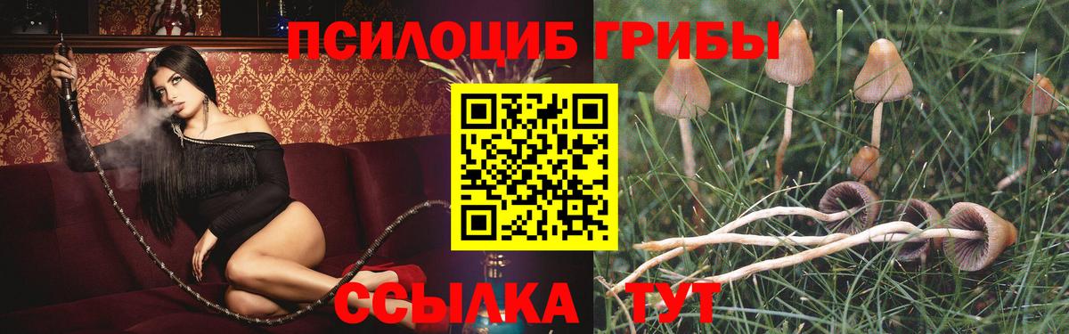 Россошь  Галлюциногенные грибы прущие грибы  Галлюциногенные грибы ЛСД  Вход с VPN 